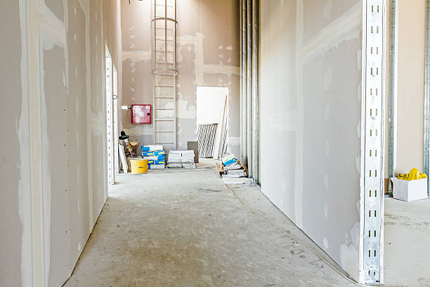 Best Dehumidification Services  in New Baltimore, MI