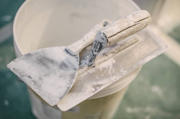 Best Mold Damage Restoration  in New Baltimore, MI